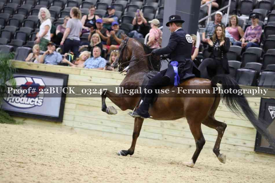 Proof 22BUCK_03247