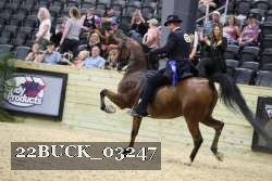 22BUCK_03247 proof