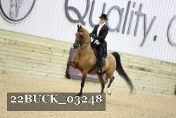 22BUCK_03248 proof