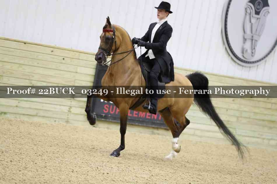 Proof 22BUCK_03249