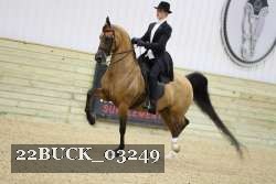 22BUCK_03249 proof