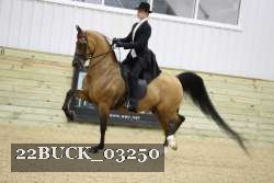 22BUCK_03250 proof