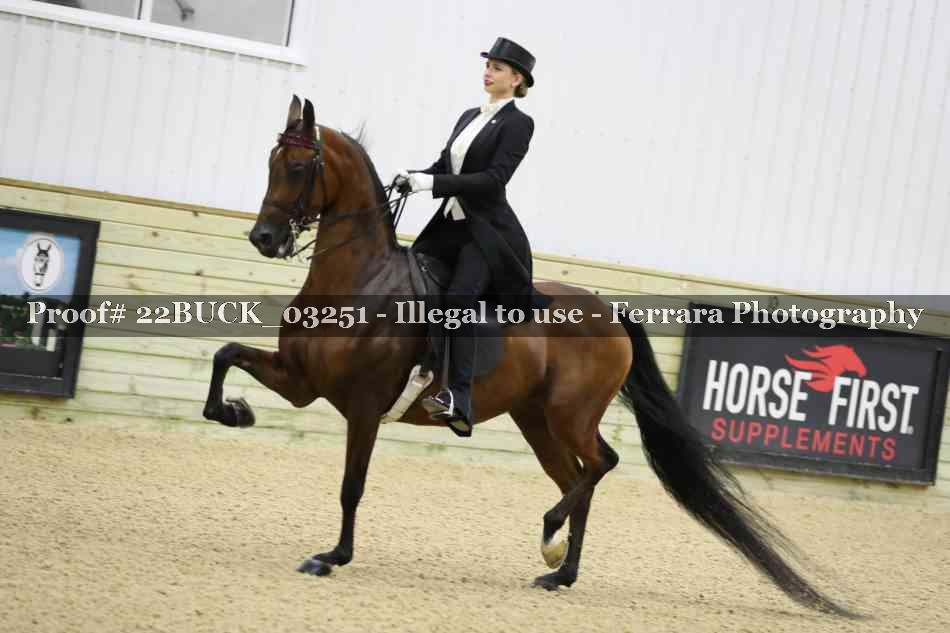 Proof 22BUCK_03251