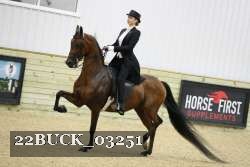22BUCK_03251 proof