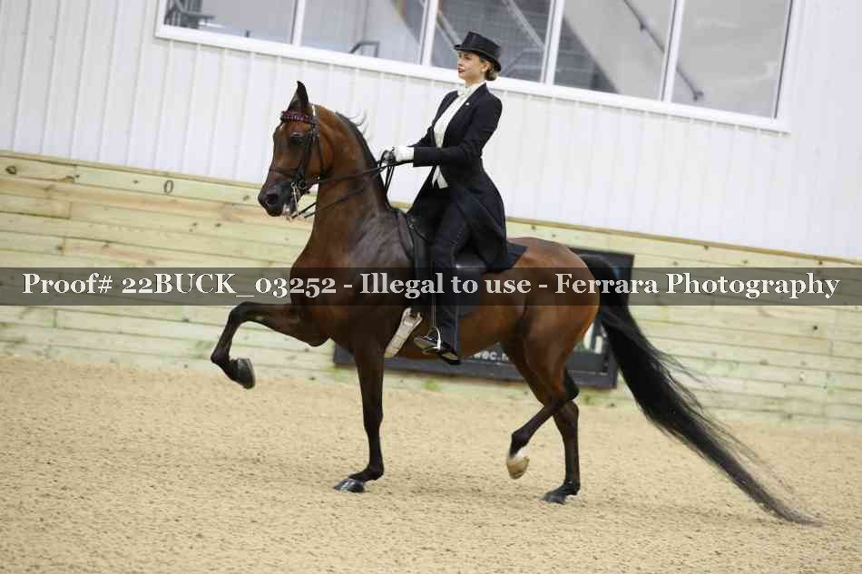 Proof 22BUCK_03252