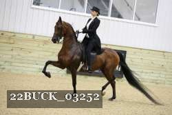 22BUCK_03252 proof