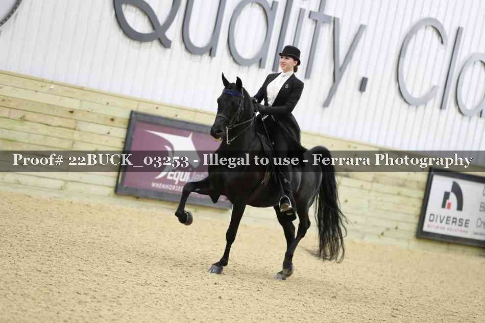 Proof 22BUCK_03253