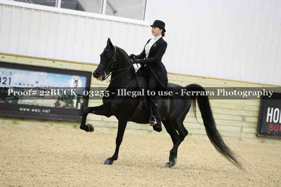 Proof 22BUCK_03255