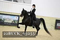 22BUCK_03255 proof