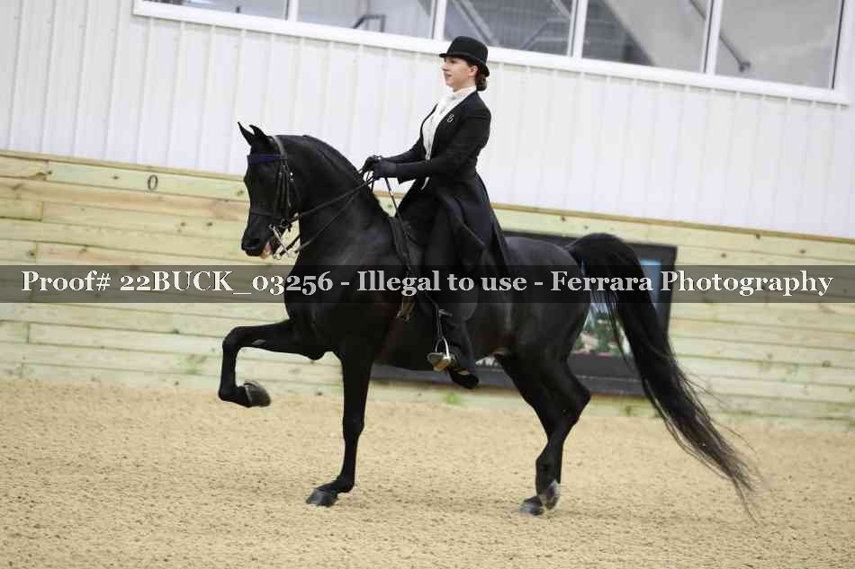 Proof 22BUCK_03256