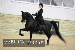 22BUCK_03256 proof