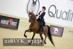 22BUCK_03258 proof