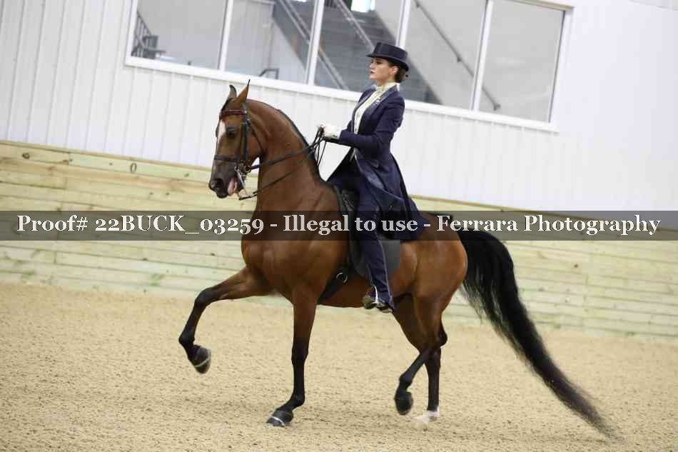 Proof 22BUCK_03259