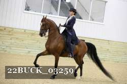 22BUCK_03259 proof