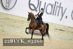 22BUCK_03260 proof