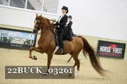 22BUCK_03261 proof
