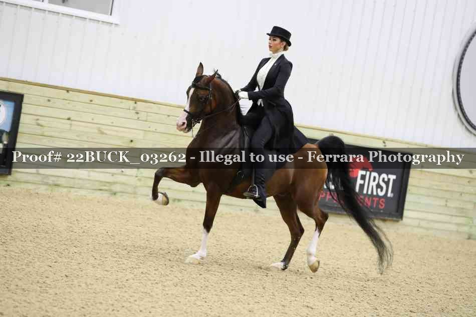 Proof 22BUCK_03262