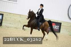 22BUCK_03262 proof