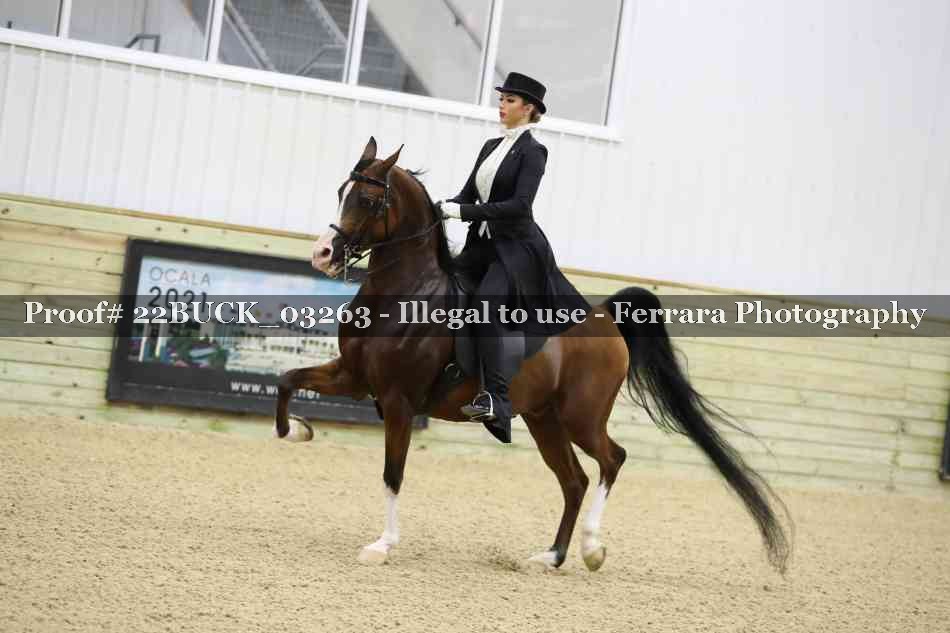 Proof 22BUCK_03263