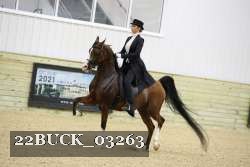 22BUCK_03263 proof