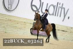 22BUCK_03264 proof