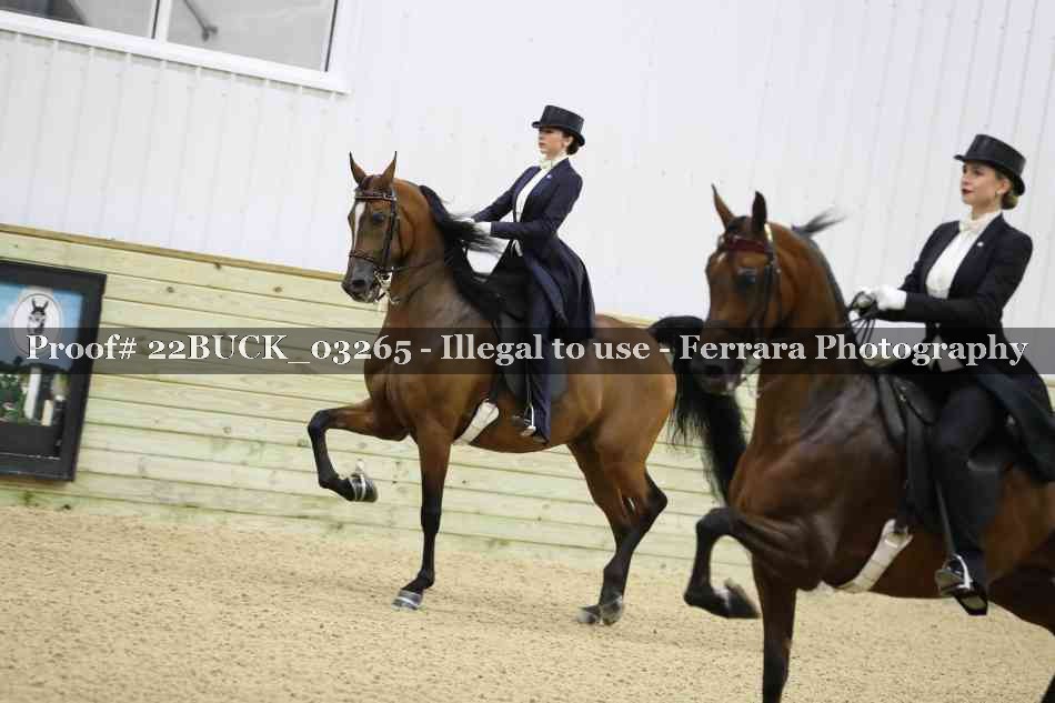 Proof 22BUCK_03265
