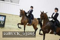 22BUCK_03265 proof