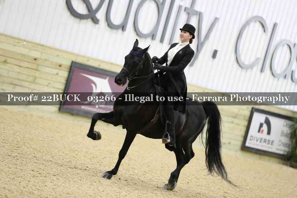 Proof 22BUCK_03266