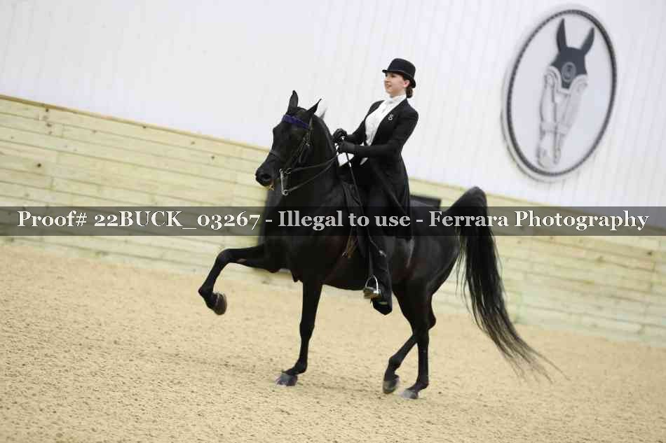 Proof 22BUCK_03267