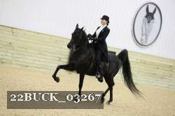 22BUCK_03267 proof