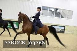 22BUCK_03268 proof