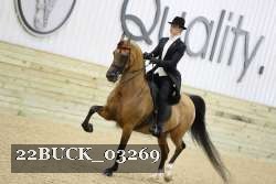 22BUCK_03269 proof