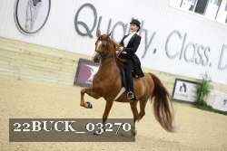 22BUCK_03270 proof