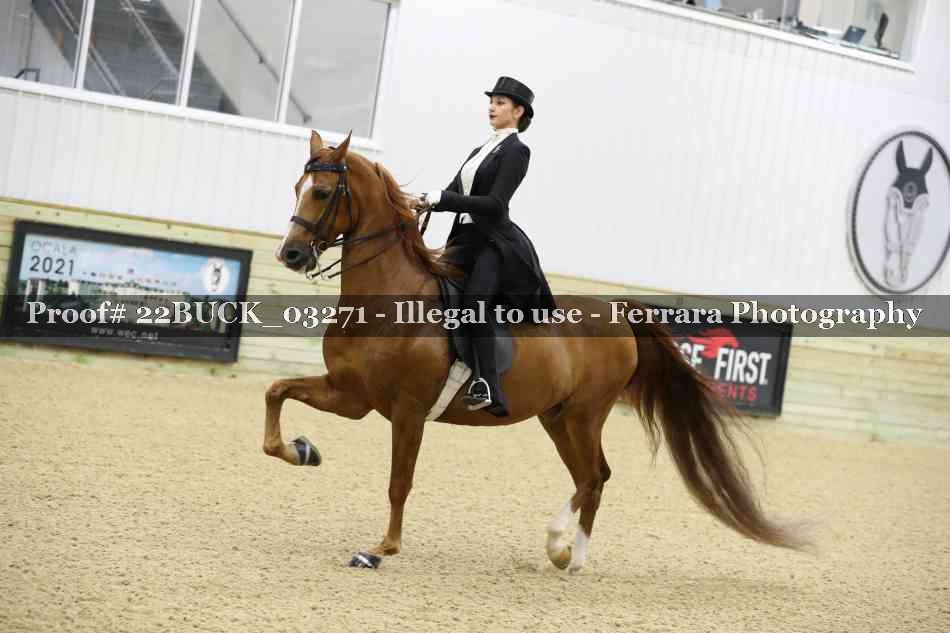 Proof 22BUCK_03271