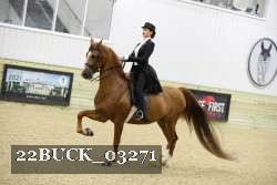 22BUCK_03271 proof