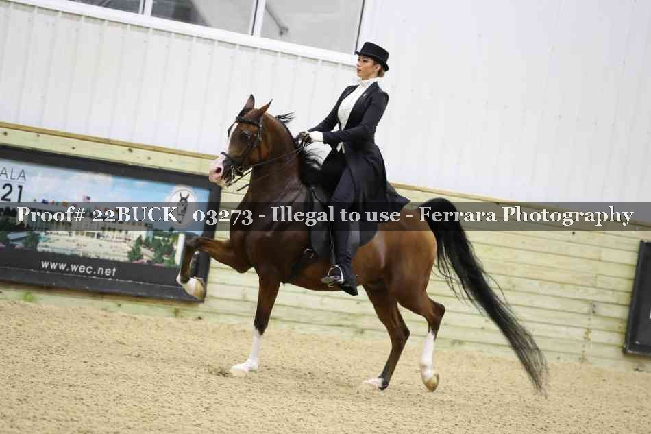 Proof 22BUCK_03273