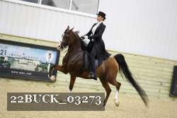 22BUCK_03273 proof