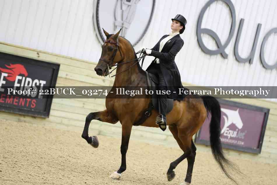 Proof 22BUCK_03274