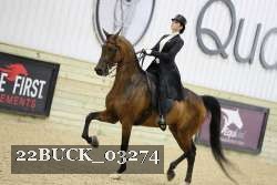 22BUCK_03274 proof