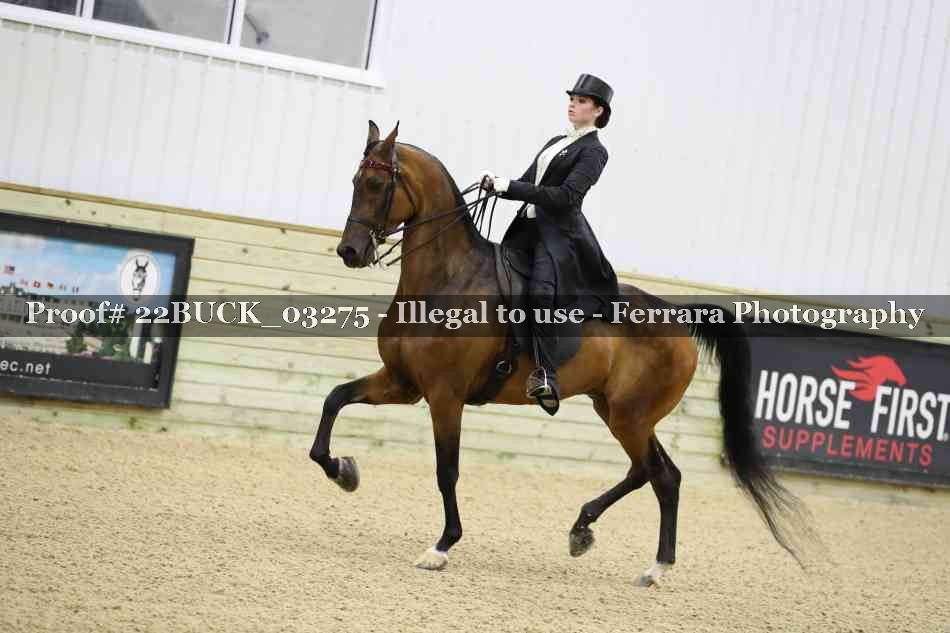 Proof 22BUCK_03275