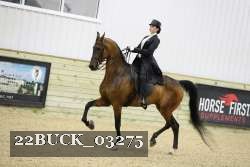 22BUCK_03275 proof