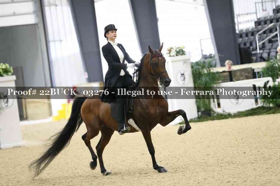 Proof 22BUCK_03276