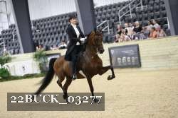 22BUCK_03277 proof