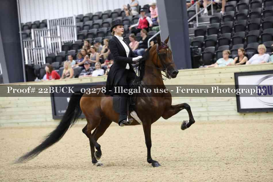 Proof 22BUCK_03278