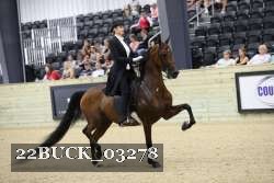 22BUCK_03278 proof