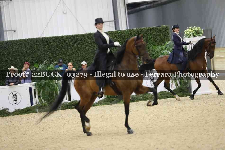 Proof 22BUCK_03279