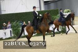 22BUCK_03279 proof