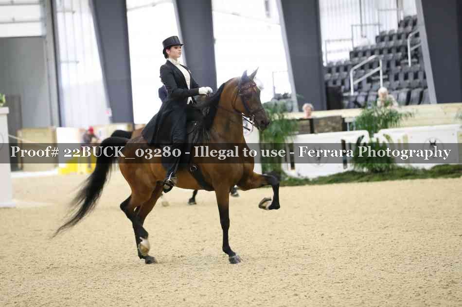 Proof 22BUCK_03280