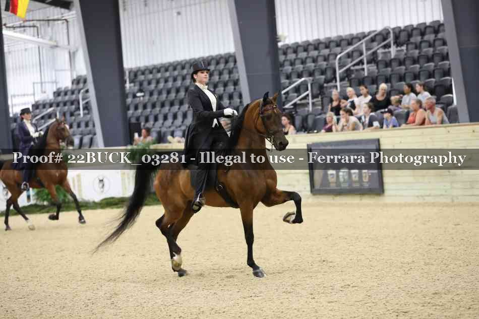 Proof 22BUCK_03281
