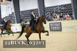 22BUCK_03281 proof